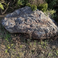 庭石の画像