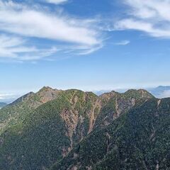 山友募集です🌳