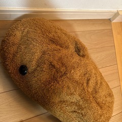 カピバラぬいぐるみの画像