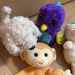 ぬいぐるみセットの画像