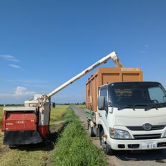 ≪コシヒカリ新米20kg≫令和７年茨城県産コシヒカリ１００％　精米可の画像