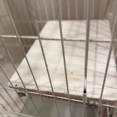 3段　キャットゲージの画像