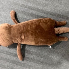 カワウソ？の画像