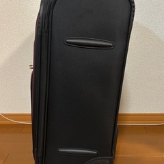 機内持ち込み可　布製　キャリーケースの画像
