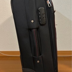 機内持ち込み可　布製　キャリーケースの画像