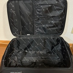 機内持ち込み可　布製　キャリーケースの画像