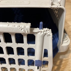 （お話し中）ペット　キャリーの画像