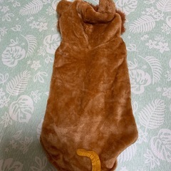 ペット服の画像