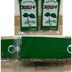 オカメインコの餌 粟の穂 の画像