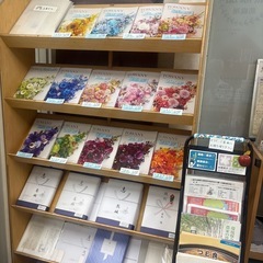 シャディ カタログギフト、10%サービスの画像