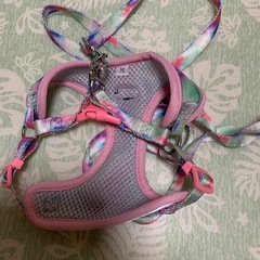 ハーネスリードの画像