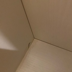 ニトリ 収納スリムカートの画像