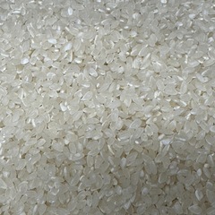 新米　豊コシヒカリ　玄米　NO3の画像