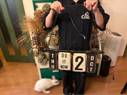 ダルトン　日めくりカレンダー