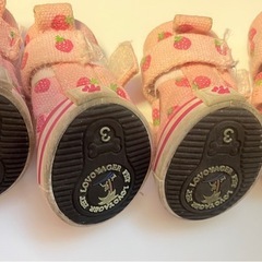 ペット　シューズ　靴の画像