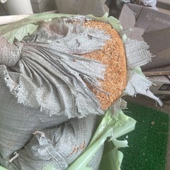 🌿園芸セット一式（土・支柱・自動潅水）無料・先著順！の画像