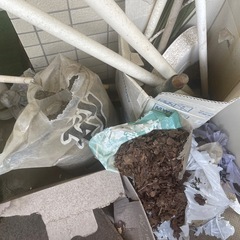 🌿園芸セット一式（土・支柱・自動潅水）無料・先著順！の画像