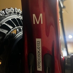 最終値下げします。2022年式　グスト　コブラ　Mサイズ　リムタイプの画像