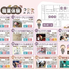 めだか販売の画像