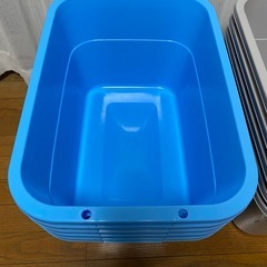 決まりました。
めだか飼育ケース（36リットルタライ）の画像