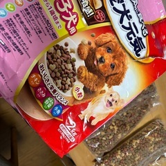子犬用えさ【愛犬元気】ドッグフードの画像