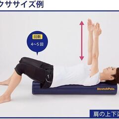 LPN 【国内製造】 プロアスリート愛用 LPN社製 ストレッチポール (R)EXシリーズの画像