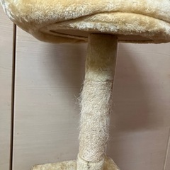 キャットタワー使用感ありの画像
