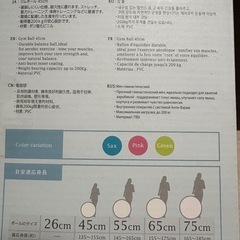 ジムボール45センチ、バランスボールの画像