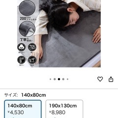 新品電気毛布4530円→3300円の画像