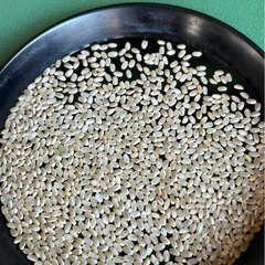 令和6年度産徳島米ヒノヒカリ（古米）の画像