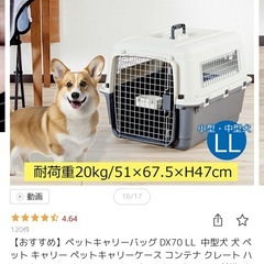 犬猫用キャリーケースの画像