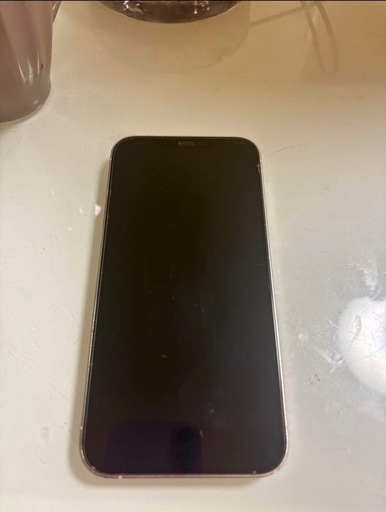 iPhone12 Pro
Max