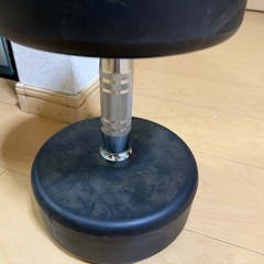 26kg ダンベルの画像
