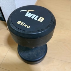 26kg ダンベルの画像