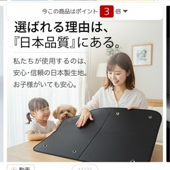 【ほぼ未使用】タフト専用　サンシェード　全面　の画像