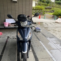 ホンダDioの画像