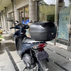 ホンダDioの画像
