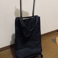 買い物キャリーバッグの画像