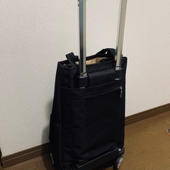 買い物キャリーバッグの画像