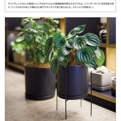 (2個セット)植木鉢　陶器鉢　黒マット 5号＋3.5号の画像