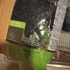 飼育セットの画像