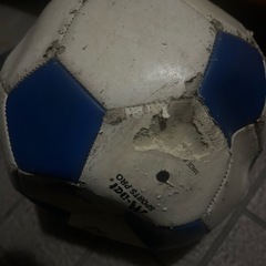 子供　エスボード　サッカーボール　バレーボールの画像