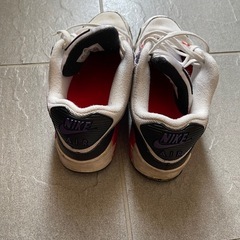 ナイキ　エアマックス90 （AJ1285-106）の画像