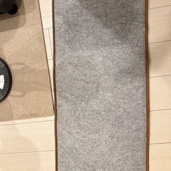 キッチン下、ソファーの上に保温カーペット差し上げますの画像