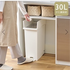 KEYUCA両開きダストボックス Lホワイト（27L）の画像