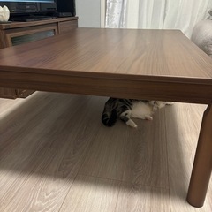 こたつテーブル
の画像