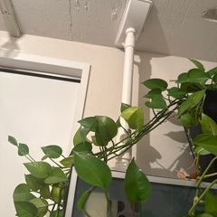 IKEA 本棚の画像