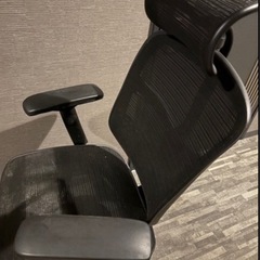 【定価約10万円↑】エルゴヒューマンの画像