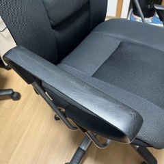 10/3に引き取っていただける方、半額です！の画像