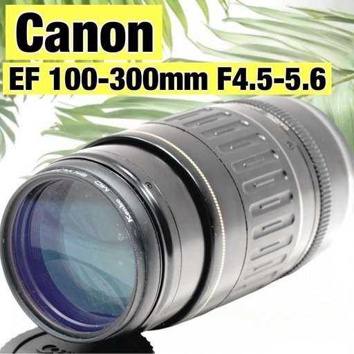 美品 Canon EF 100-300mm F4.5-5.6